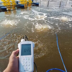 cảm biến đo oxy hòa tan