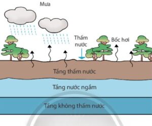 Hệ Thống Quan Trắc Nước Ngầm Tự Động Liên Tục